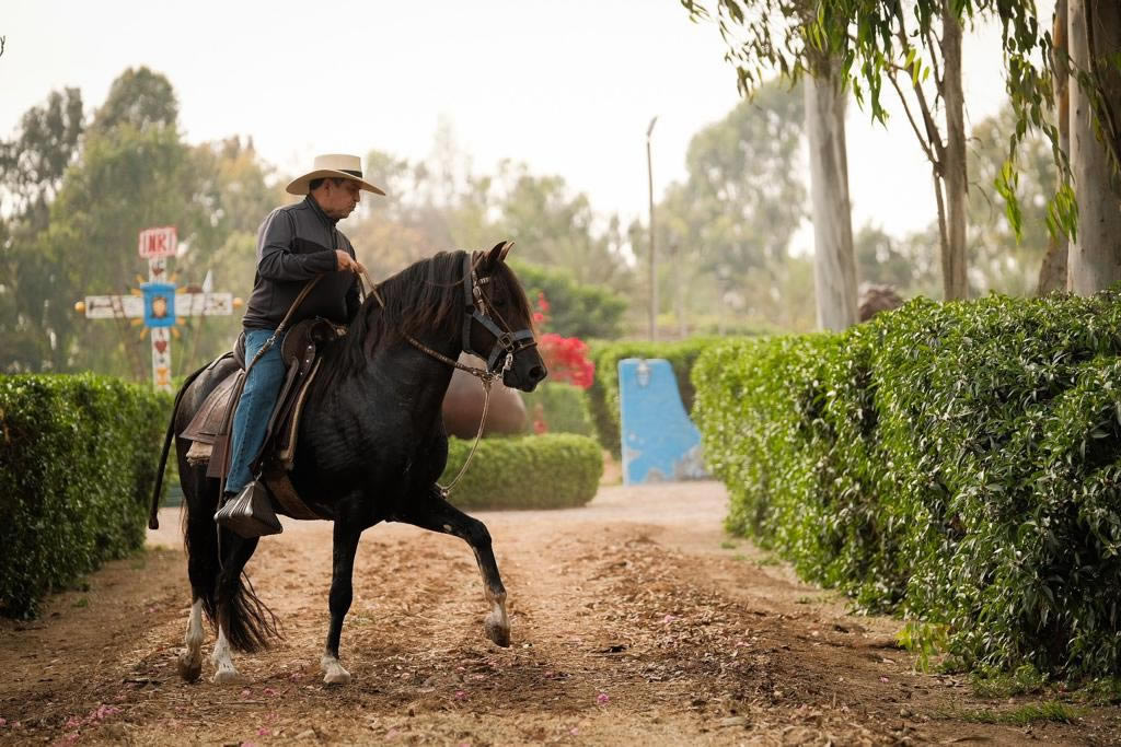 Hacienda Gentileza